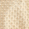 Opulent Beige Sherwani Set
